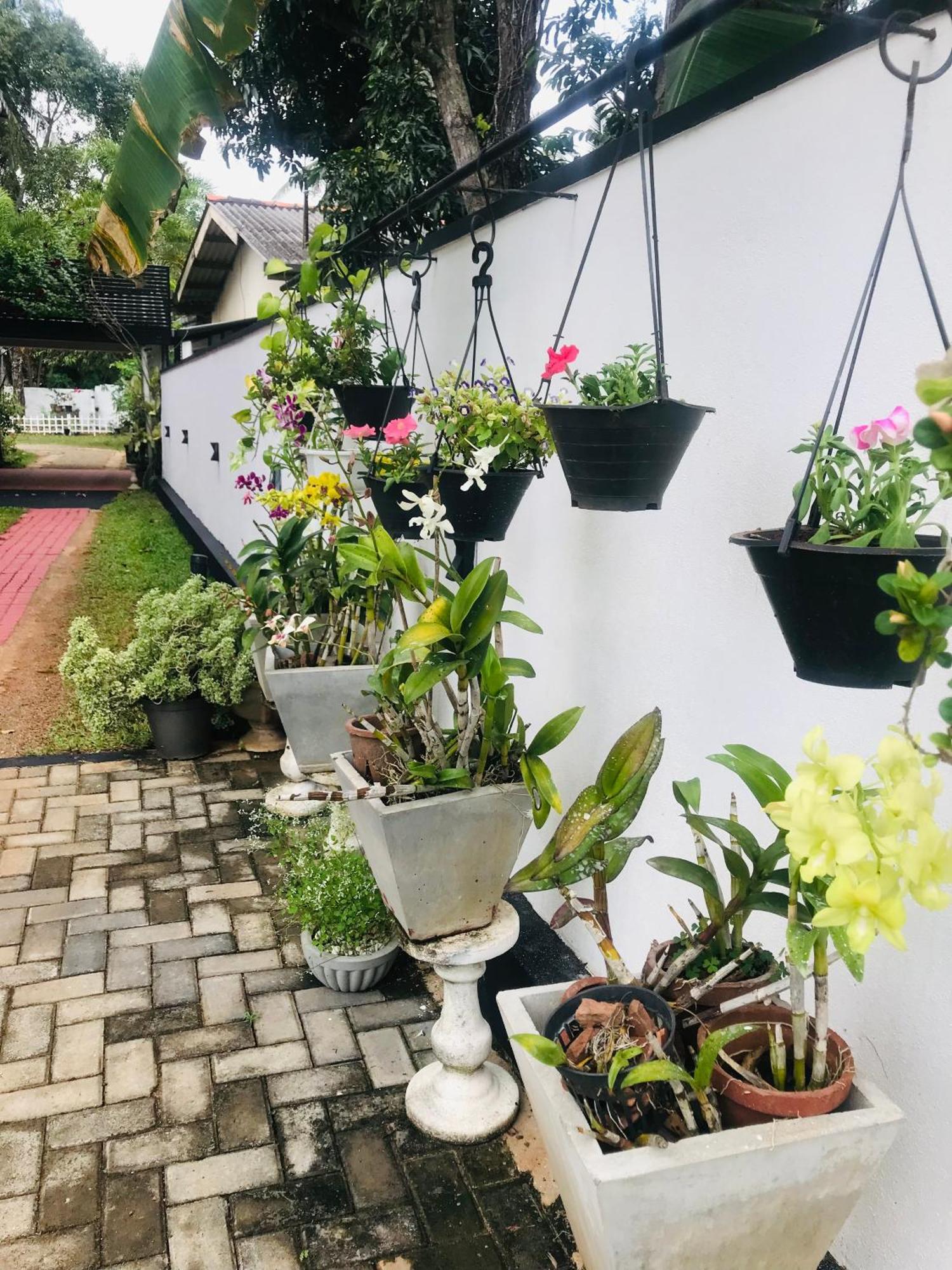 Pinidiya Resort Anuradhapura Dış mekan fotoğraf