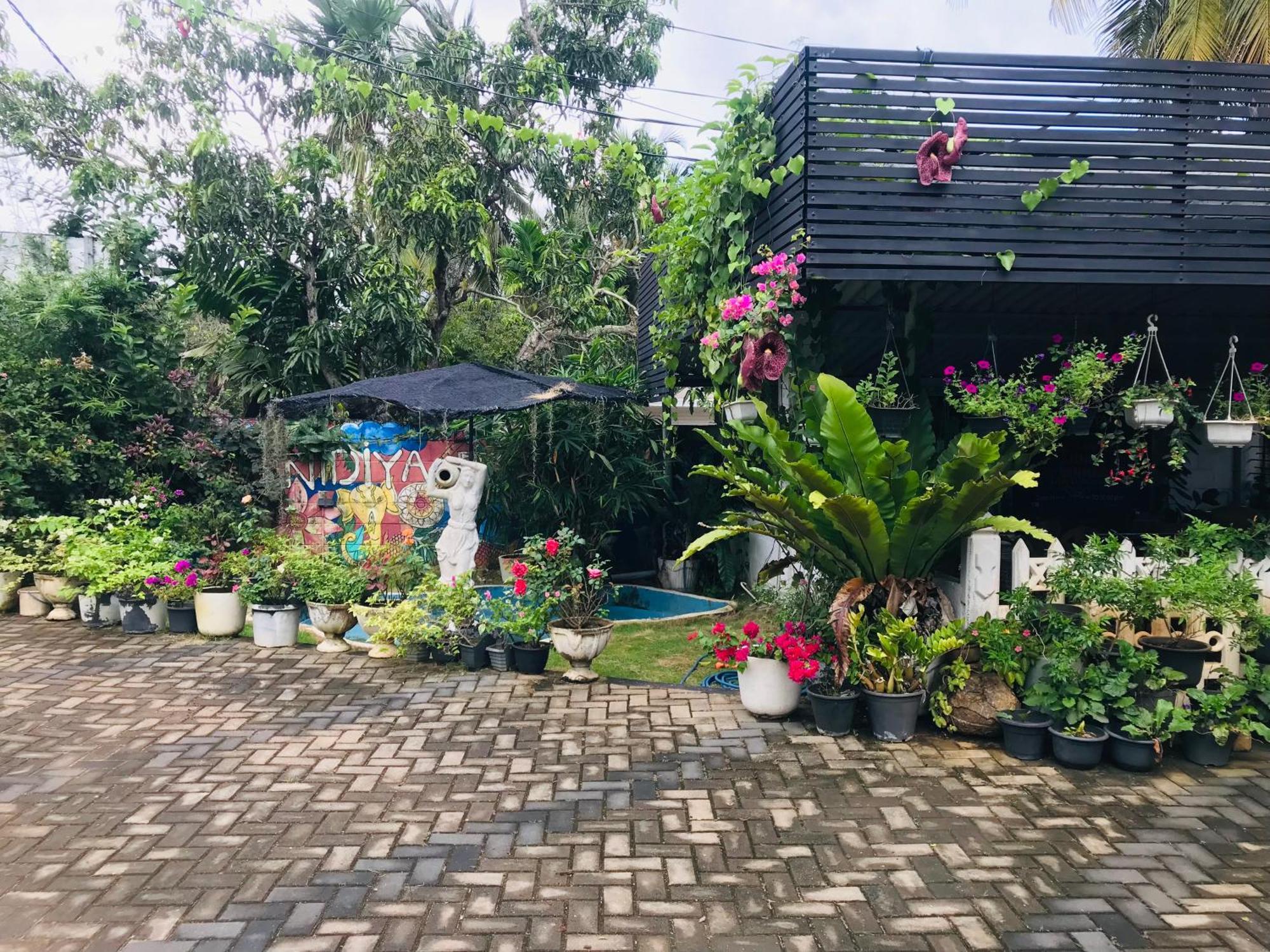 Pinidiya Resort Anuradhapura Dış mekan fotoğraf