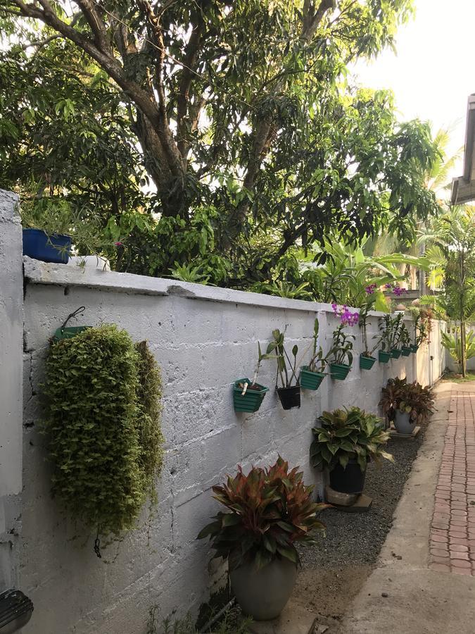 Pinidiya Resort Anuradhapura Dış mekan fotoğraf